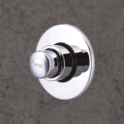 Flush Valves